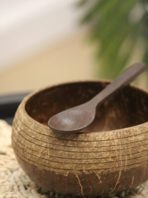 Coconut bowl with spoon (Cosmos)