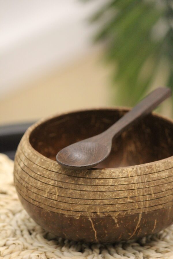 Coconut bowl with spoon (Cosmos)
