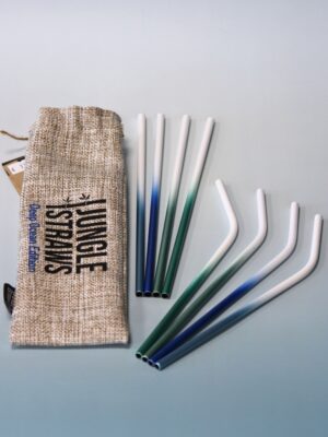Metal straws and cleaning brush set Deep Ocean