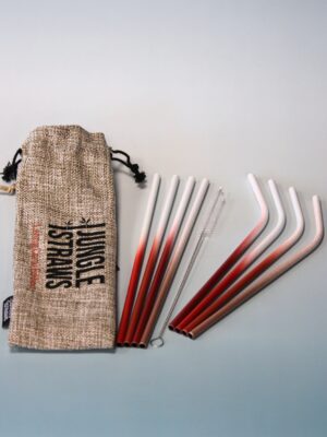 Metal straws and cleaning brush set Living Coral