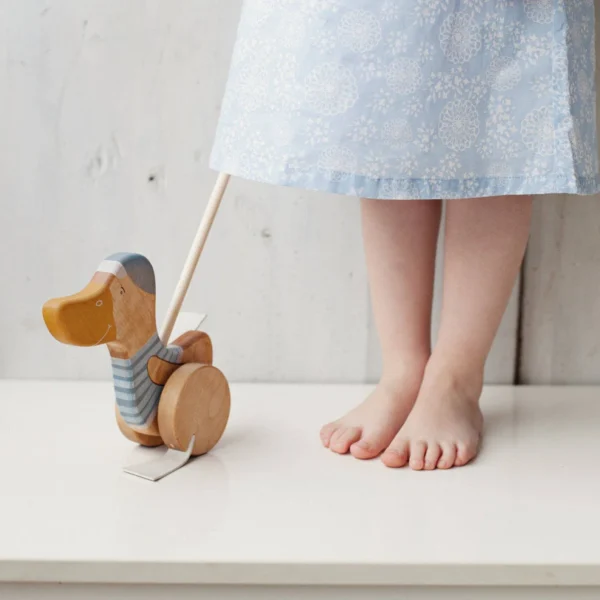 Stumiamas medinis žaislas "Ančiukas" | Friendly Toys