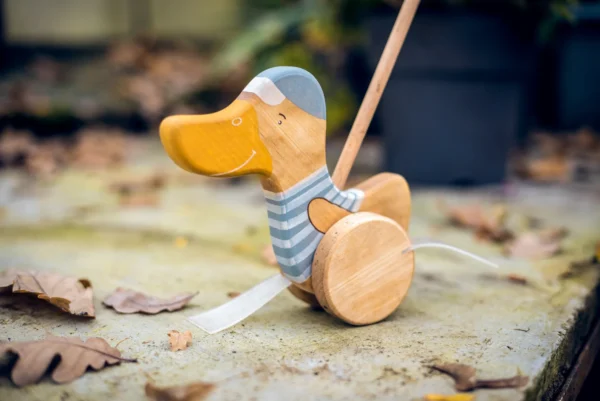 Stumiamas medinis žaislas "Ančiukas" | Friendly Toys